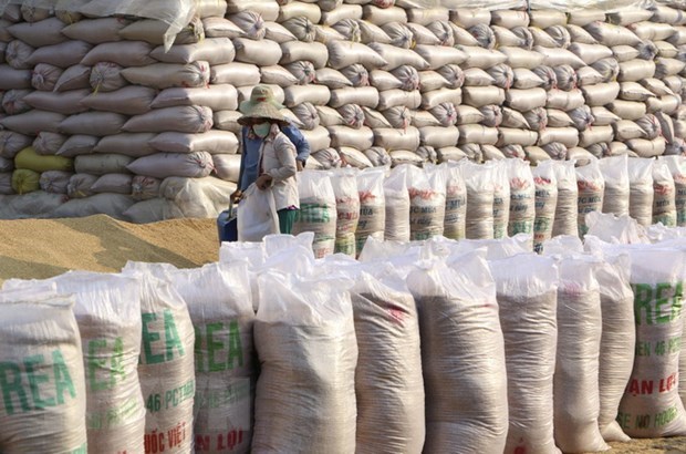 Ngăn chặn nguy cơ gian lận xuất xứ gạo Việt Nam để xuất khẩu